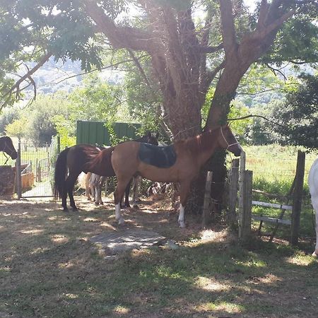 Apartamento Rural Zuri Cotorrio 외부 사진
