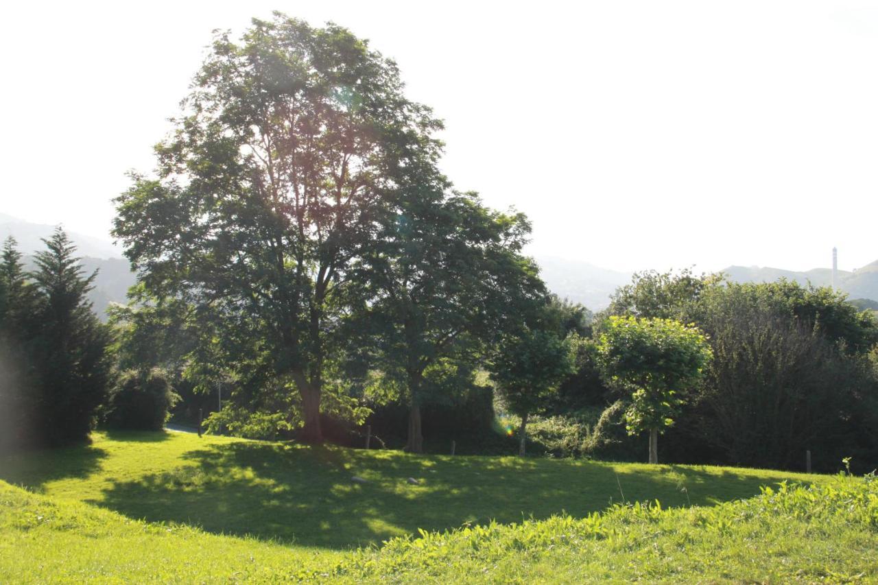 Apartamento Rural Zuri Cotorrio 외부 사진